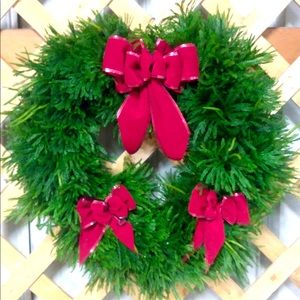 Live Christmas Wreath decor